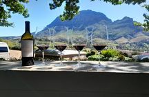 Giraffe house and Cheetahs encounter Tour with Wine tasting