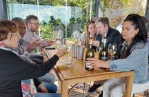 Giraffe house and Cheetahs encounter Tour with Wine tasting