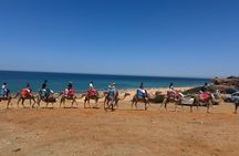 Full Day Tangier Culture and History Private Tour 