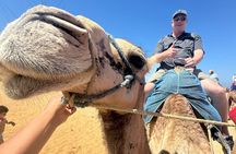 Full Day Tangier Culture and History Private Tour 