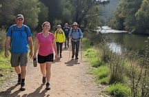 Melbourne wildlife nature hike with Kangaroos and sunset picnic!
