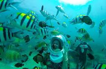 Bali Sea Walker Under Water Experience With Hotel Transfer
