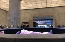Pyramides of giza and civilizations Museum praivat tour with guid