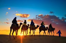Marrakech: Agafay Desert Quad Bike & Camel Ride with Dinner Show