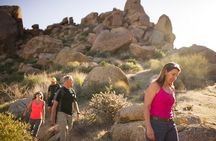 Iconic Tom's Thumb Guided Hike in Scottsdale 