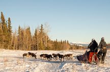 Active Winter Adventure in Yukon | 5 days