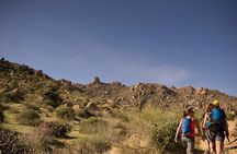 Iconic Tom's Thumb Guided Hike in Scottsdale 