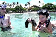 Snorkeling in Waikiki Many Fish All Levels Free Video & Pics! 