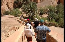 Adventure Tour in the South Tunisian Oasis and Desert and Cinema