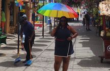 Monkey Sanctuary and City Tour in Puerto Plata