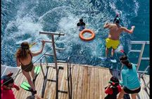 Majestic Dolphins Sea Adventure, Snorkeling, Lunch & Transfers