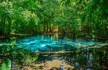 Krabi Jungle Escape Emerald Pool and Hot Springs Tour