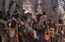 Authentic Maasai and Hadzabe Cultural Experience