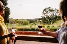 McLaren Vale Wine and Brew Small Group Premium Tour