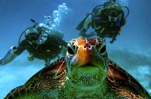 Scuba Diving Adventure in Fethiye