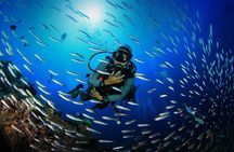 Scuba Diving Adventure in Fethiye