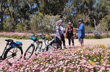 Pedals & Petals - Discovering Wildflowers Bike Tour Kings Park