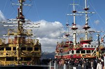 Hakone Day Trip from Tokyo with Hot Springs & Lake Ashi Cruise