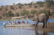 Full Day Chobe Safari: Game Drive plus River Cruise 