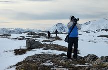 Tromso Fjords Car Tour Free Photography Small Group By (Big van)