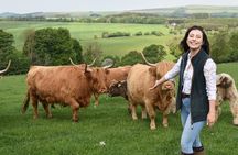 Highland Cow Experience in the Scottish Borders
