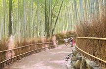 Kyoto & Nara: Private Day Tour by luxury Vehicle & English Guide