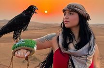 Private Dubai Desert Safari With BBQ & Live Shows 