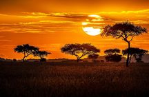 6 Days Luxury Safari Through Tarangire, Serengeti & Ngorongoro.