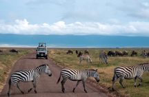 5 Days Luxury Safari Through Tarangire Serengeti and Ngorongoro