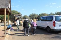Pilanesberg National Park Big Five Safari Full Day Tour