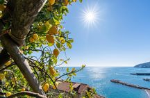 Lemon and Views : Amalfi Monumental Garden Tour