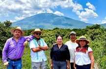 Guachimontones and Teuchitlan archaeological route (private)