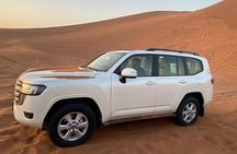 Private Dubai Desert Safari With BBQ & Live Shows 