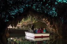 Auckland to Rotorua via Hobbiton & Waitomo 1-Way Small Group Tour