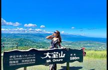 Izu Day Trip: Omuroyama & Coast 9-Guest Small Group