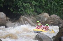 Ethical Elephant Visit and White Water Rafting in Chiang Mai