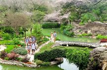 San Antonio's 1/2-day History and cultural guided driving tour