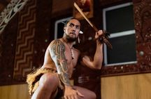 Te Rā Guided Experience + Haka at Te Puia