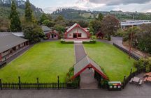 Te Rā Guided Experience + Haka at Te Puia
