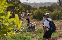 Essaouira Off-Beaten-Path: Full-Day Local Life &Nature Experience