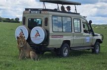 8-Days Western Serengeti Mysterious Adventures All Inclusive.