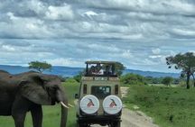 8-Days Western Serengeti Mysterious Adventures All Inclusive.