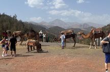 Marrakech: Day Trip to the Ourika Valley