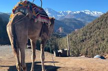 Marrakech: Day Trip to the Ourika Valley