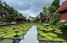  Phuket Pink Cafe with Giant Water Lily Pond Postcard