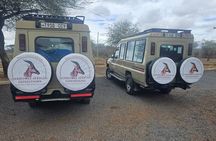 8 Day Perfect Tanzanian Safari Explore Northern Circuit 