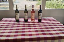 Konavle Tradition & Vines: Vodopic Winery Journey