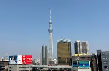 Tokyo Private Sightseeing Tour by Car with Local Guide