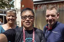 Private Singapore Car Tour with Driver Licensed Guide
