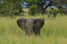 3 Days, 2 Nights in the Heart of Mikumi National Park